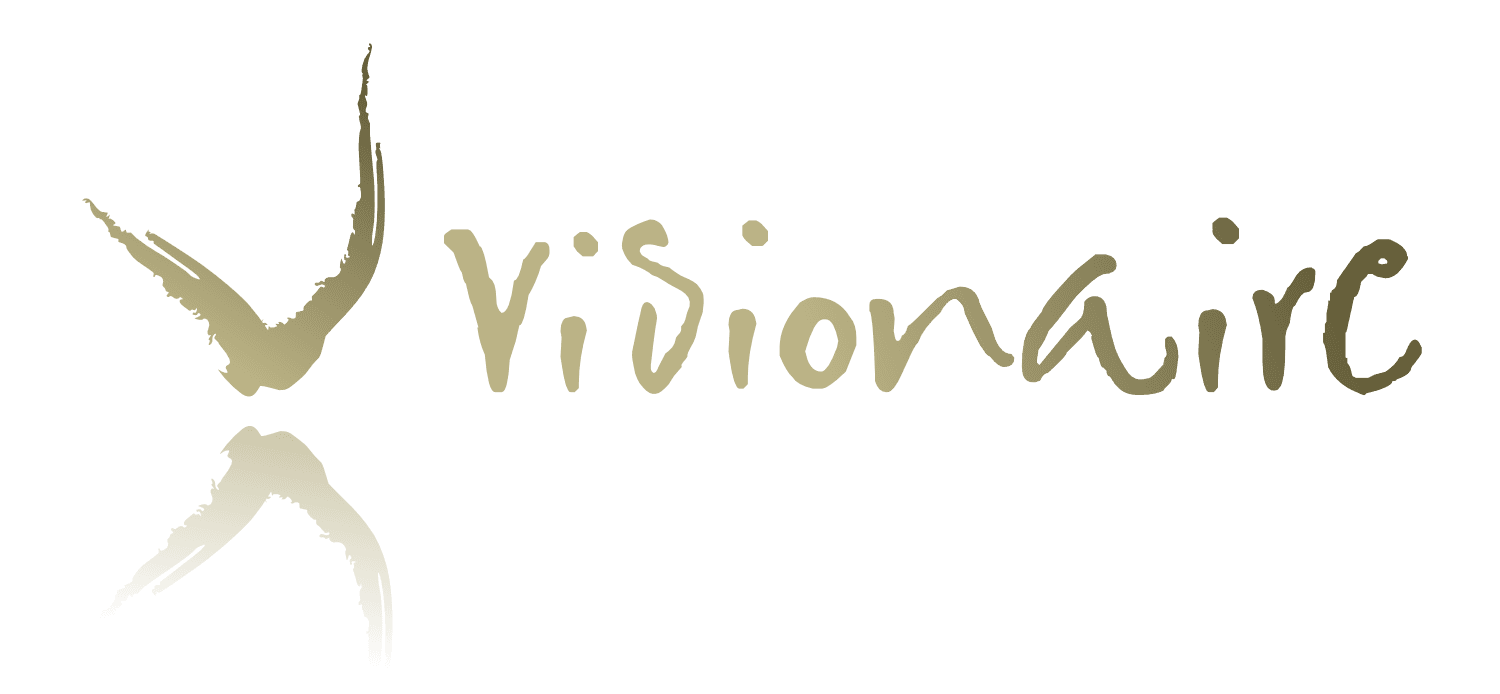 Visionaire Online 2025